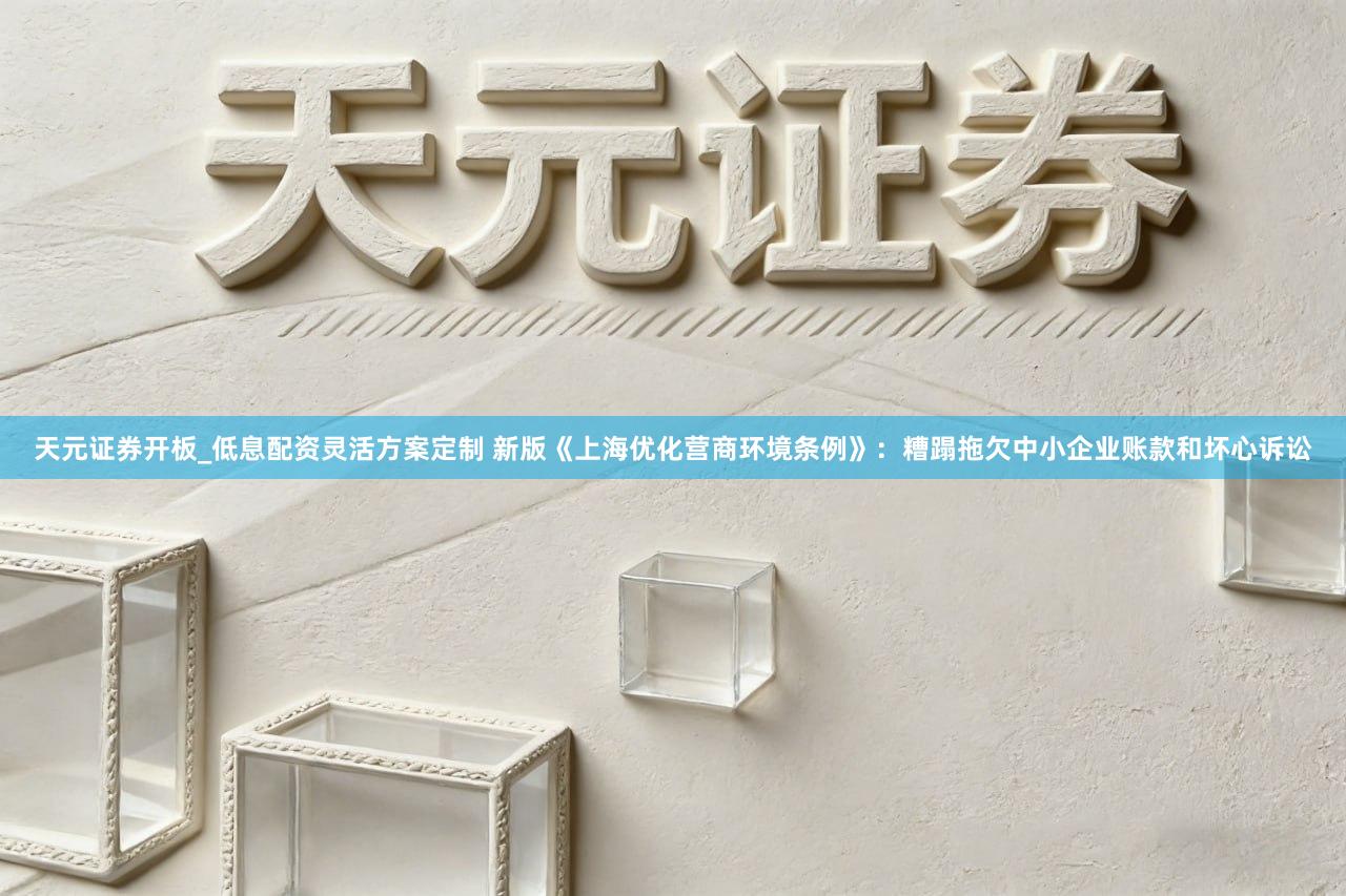 天元证券开板_低息配资灵活方案定制 新版《上海优化营商环境条例》：糟蹋拖欠中小企业账款和坏心诉讼