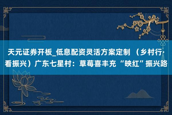 天元证券开板_低息配资灵活方案定制 （乡村行·看振兴）广东七星村：草莓喜丰充 “映红”振兴路