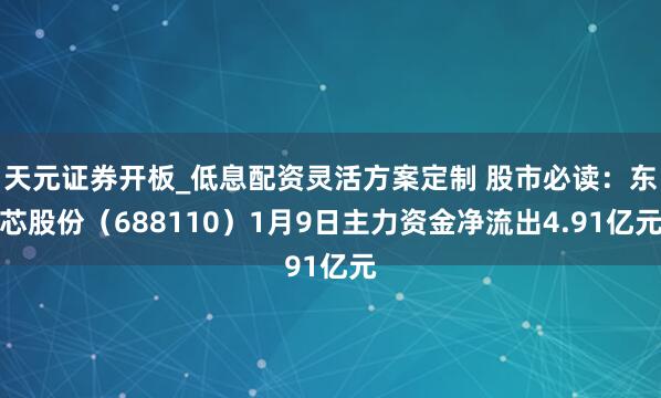 天元证券开板_低息配资灵活方案定制 股市必读：东芯股份（688110）1月9日主力资金净流出4.91亿元
