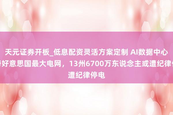 天元证券开板_低息配资灵活方案定制 AI数据中心压垮好意思国最大电网，13州6700万东说念主或遭纪律停电